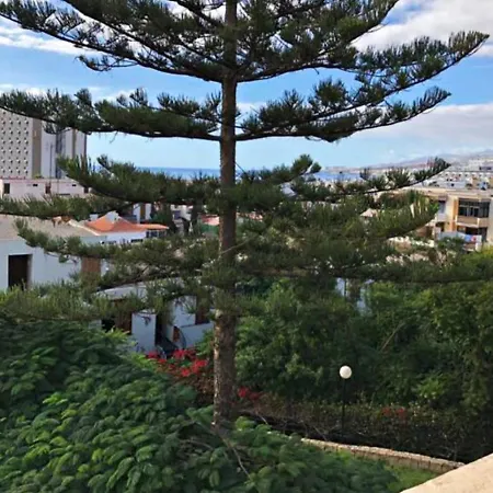 Americas Best-suite -ampio Con Vista, Giardino E Piscina דירה פלאייה דה לאס אמריקס
