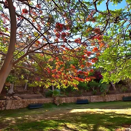 Americas Best-suite -ampio Con Vista, Giardino E Piscina דירה